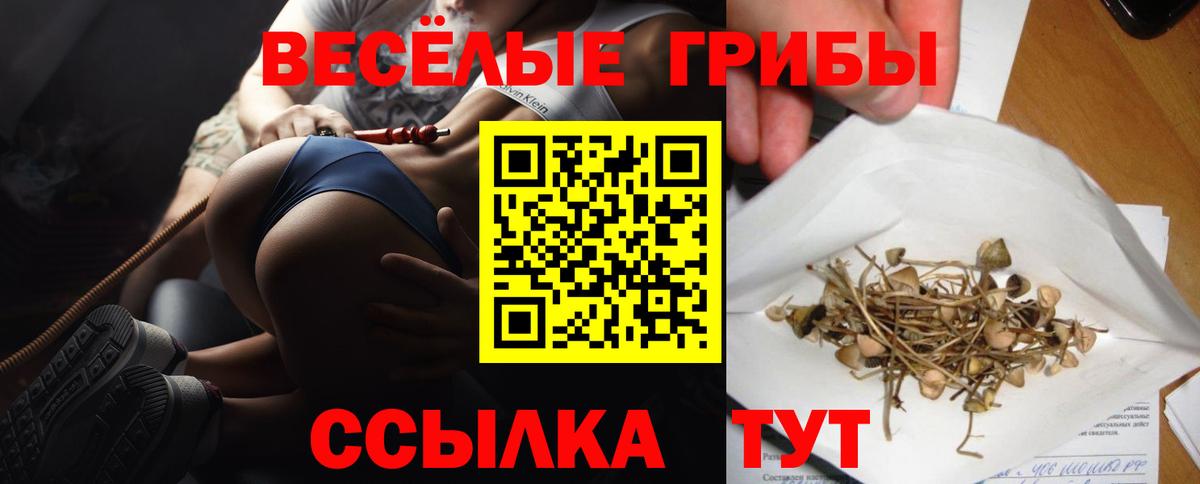 Псилоцибиновые грибы мицелий  Вход с VPN  Владикавказ 