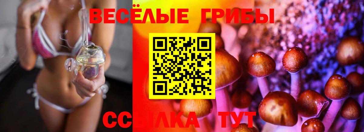 Галлюциногенные грибы MAGIC MUSHROOMS Владикавказ
